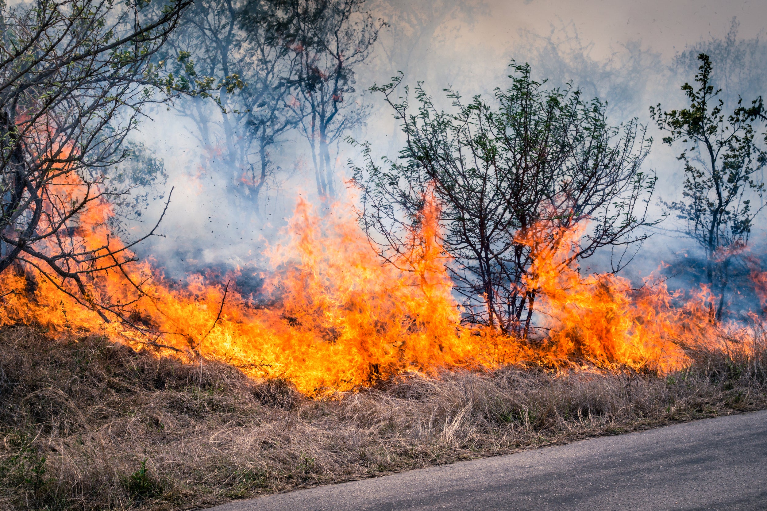 Australian Bushfire