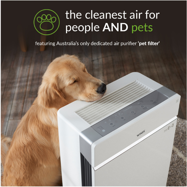 a dog with his head resting on an air purifier