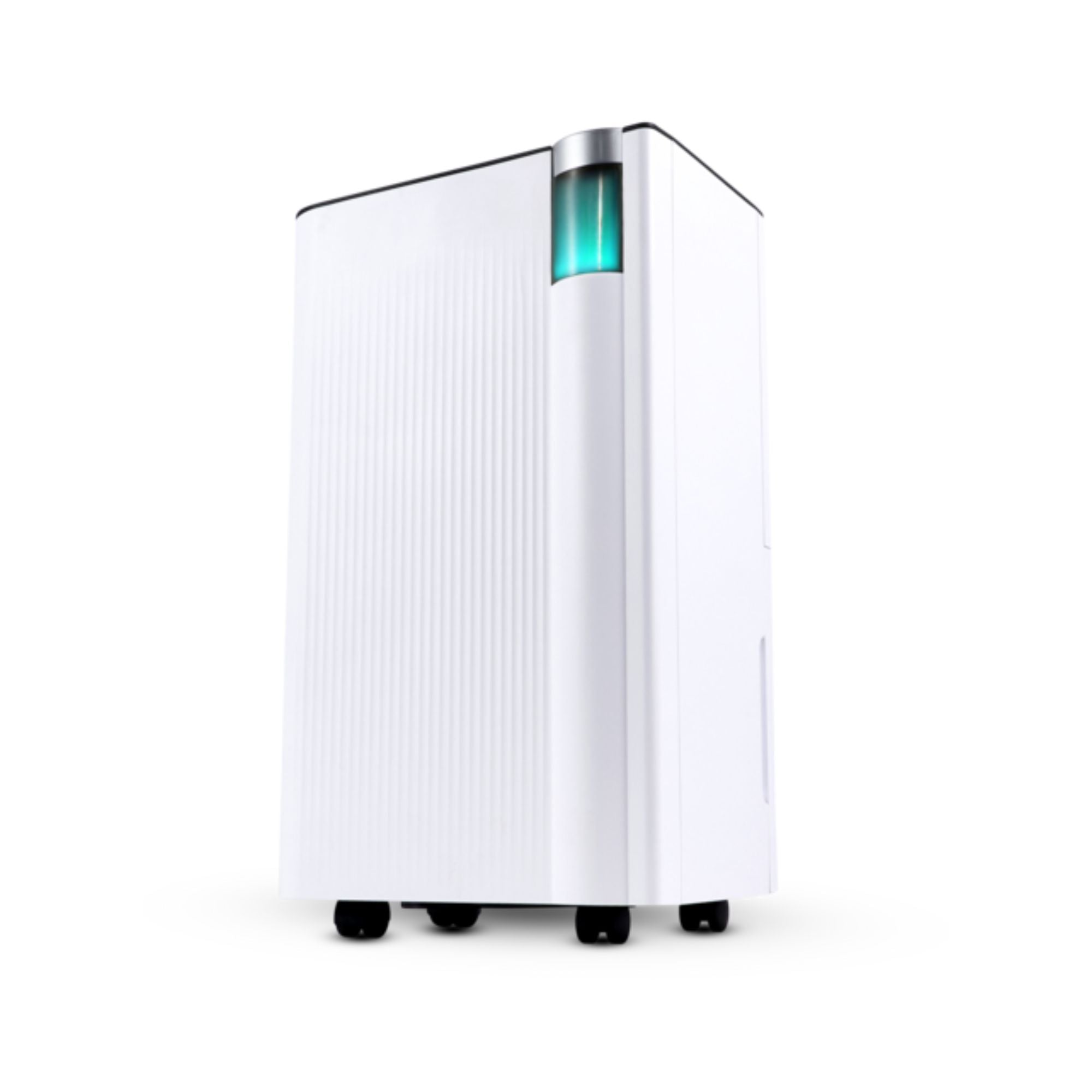 Compact 12L Smart Dehumidifier
