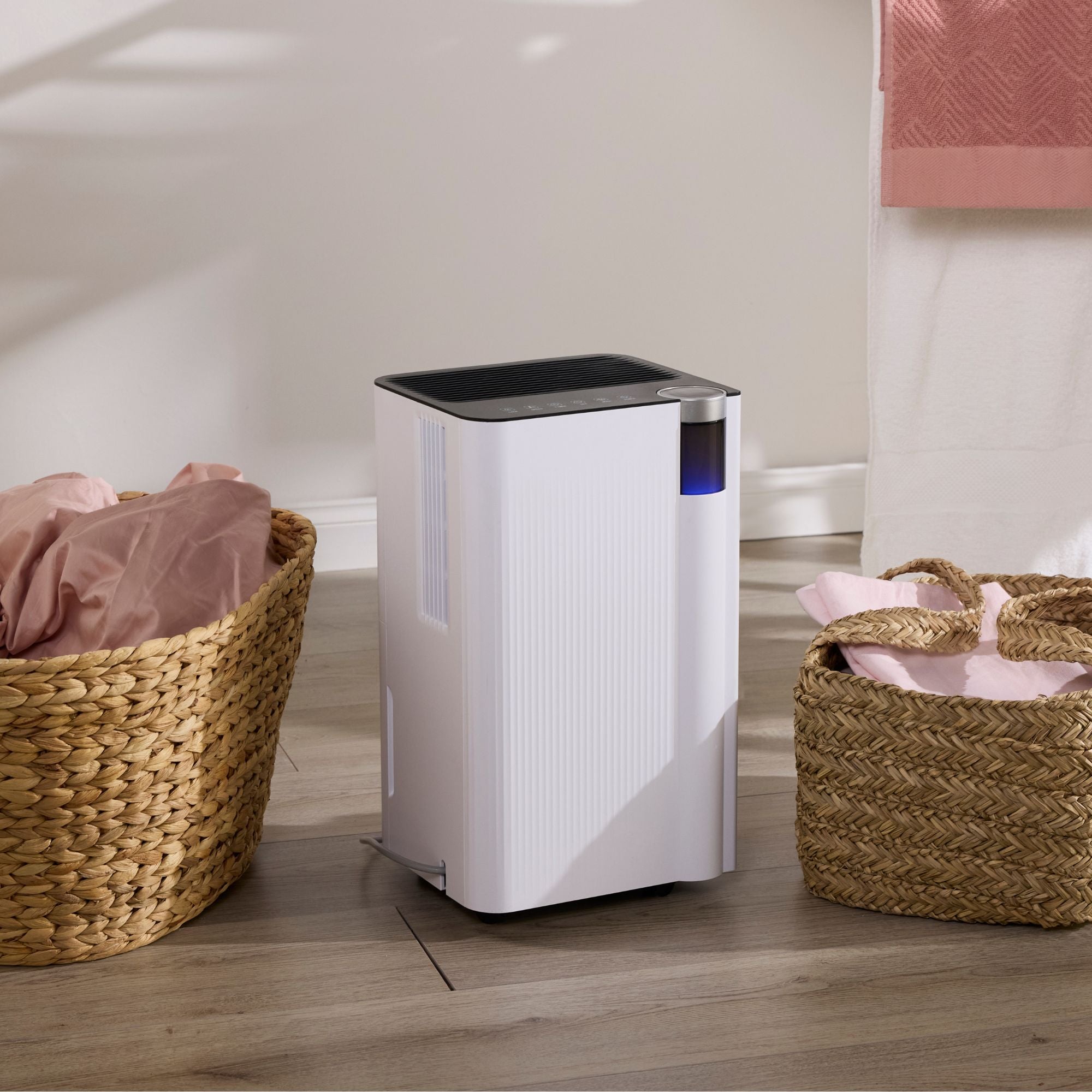 Compact 12L Smart Dehumidifier
