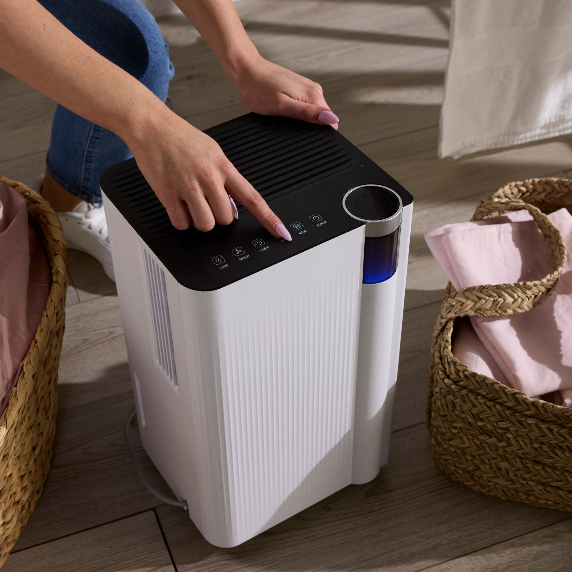 Compact 12L Smart Dehumidifier