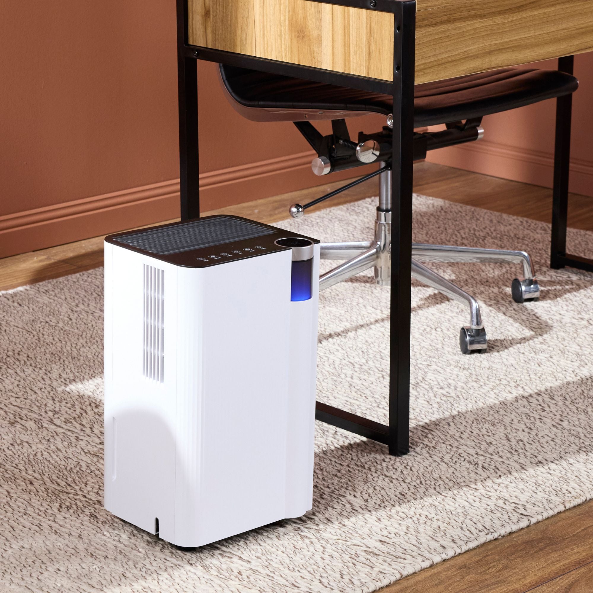 Compact 12L Smart Dehumidifier