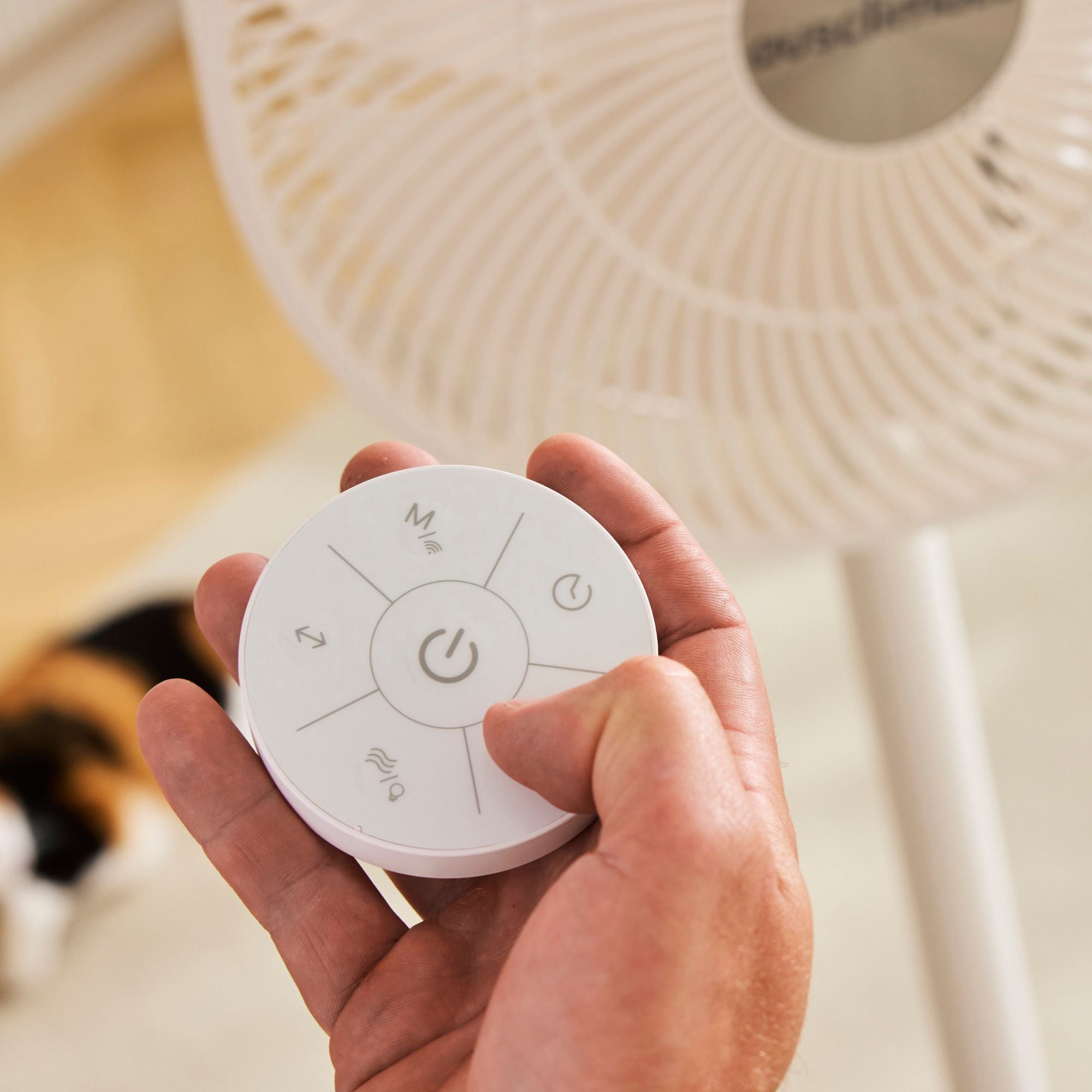 Flow IQ - Smart Cordless Pedestal Fan with Wi-Fi