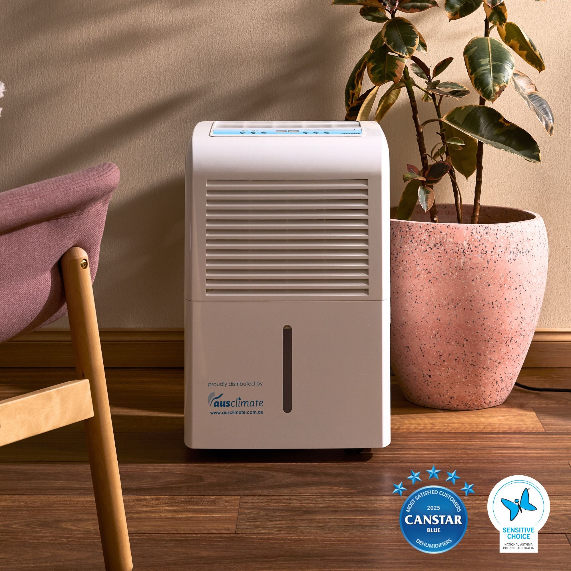 Large+ 50L Dehumidifier with Auto Pump