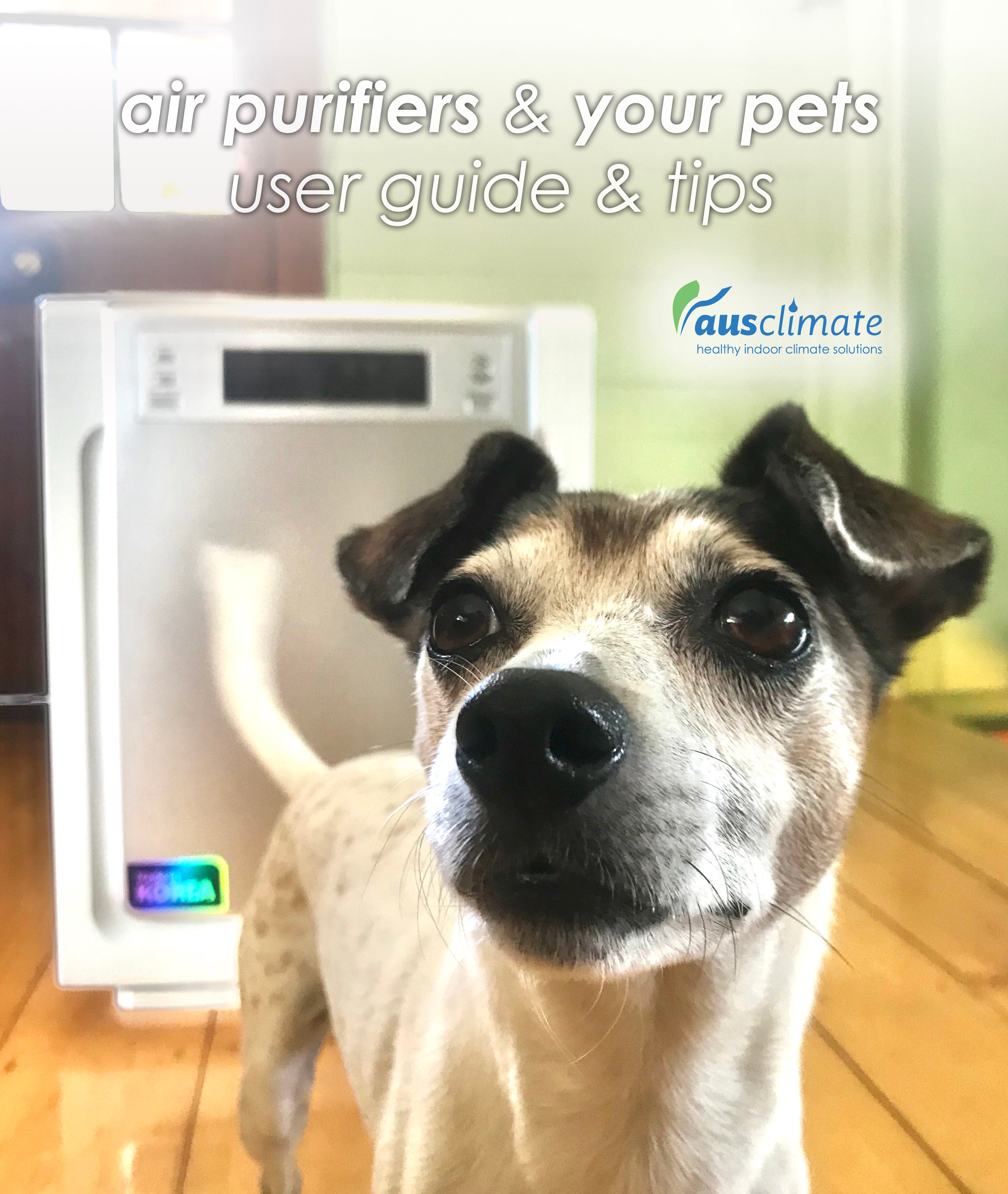 a dog in front of an air purifier