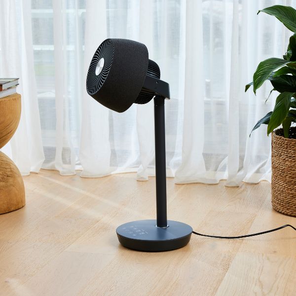 EcoSmart Pedestal Air Circulator