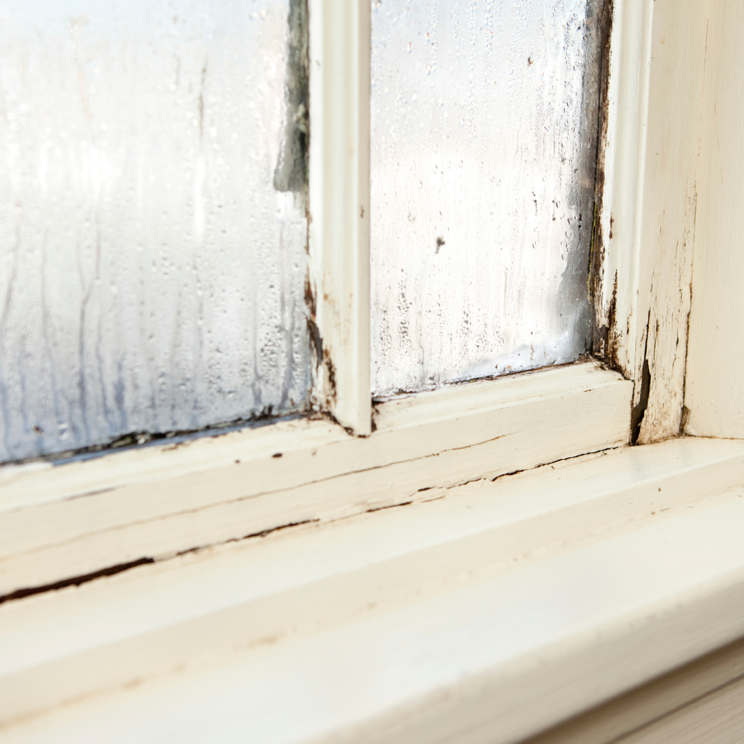 a window with paint cracking from dampness around the edges