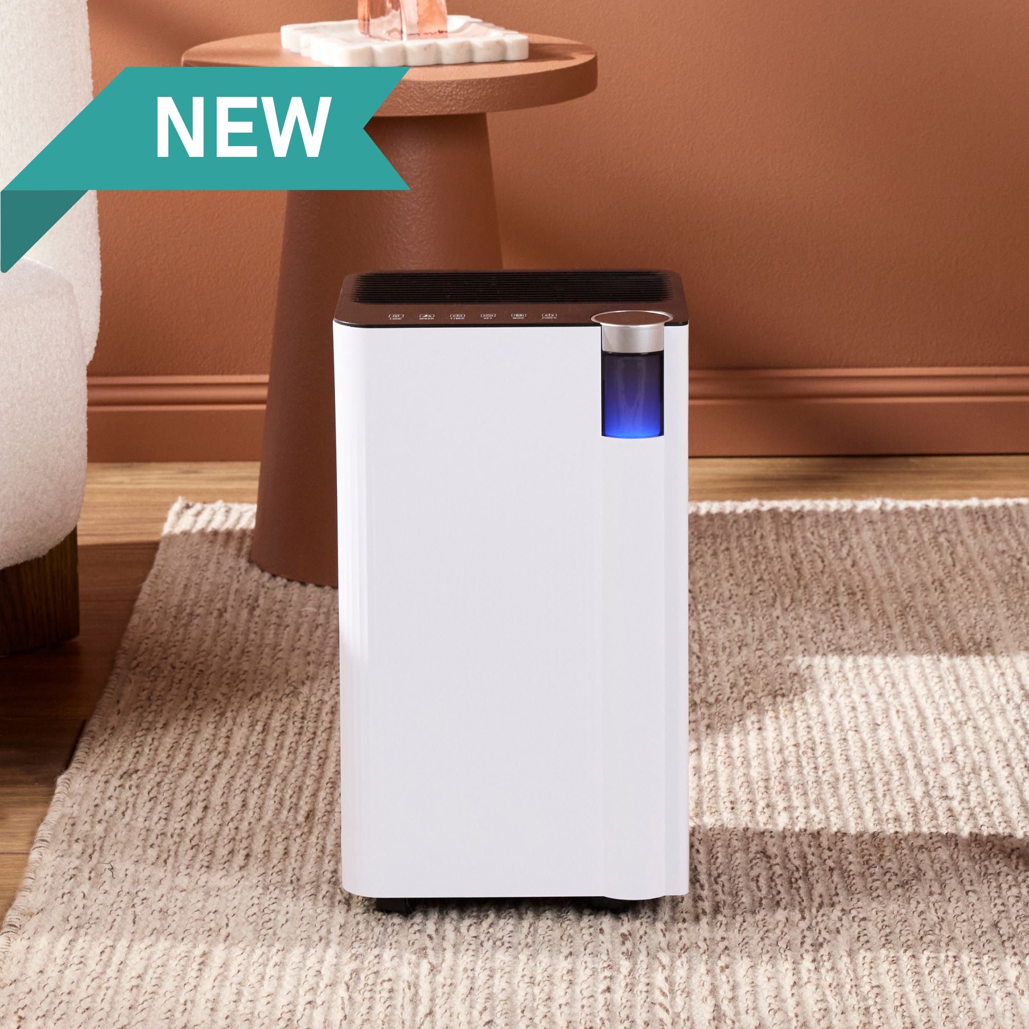 Compact 12L Smart Dehumidifier