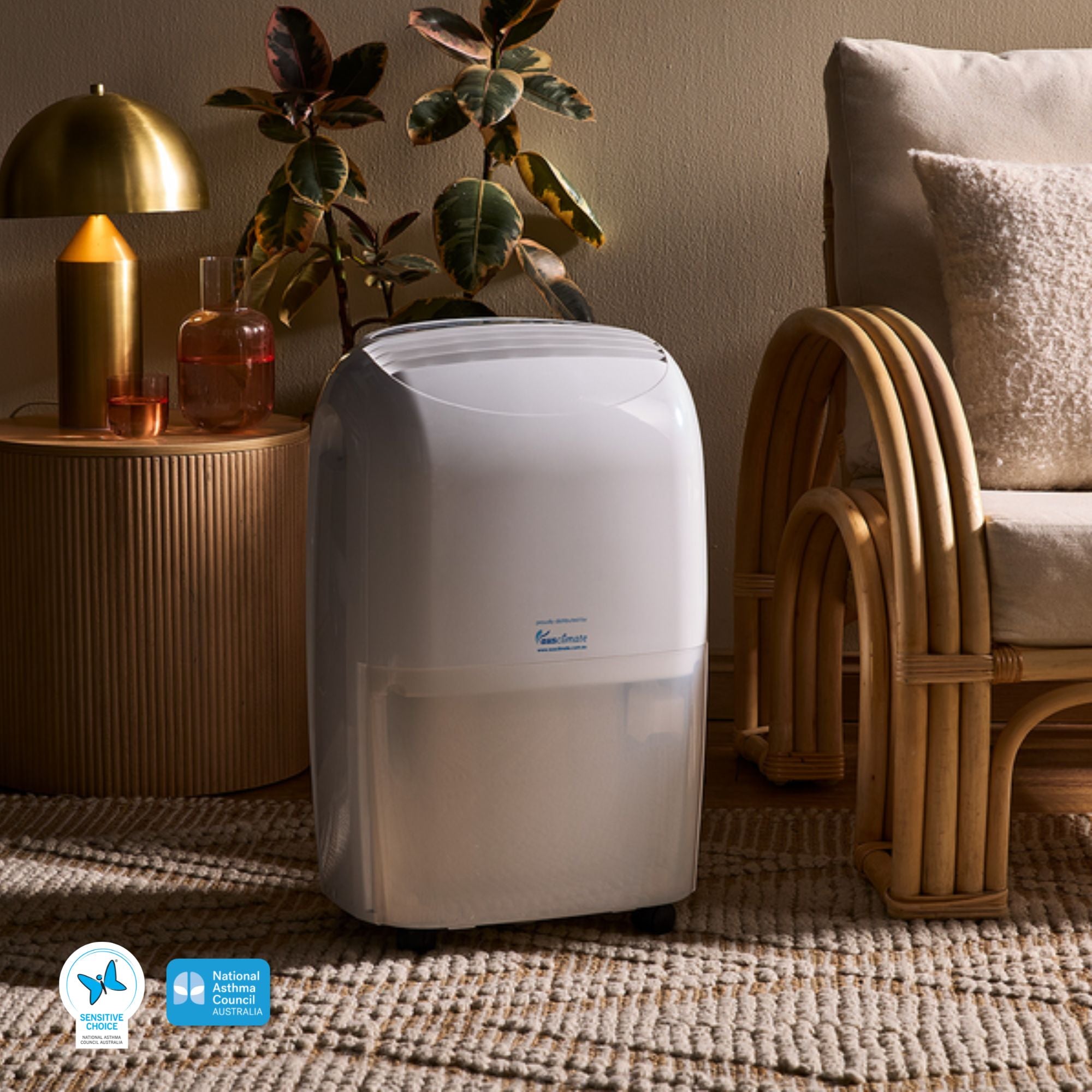 Medium 20L Dehumidifier