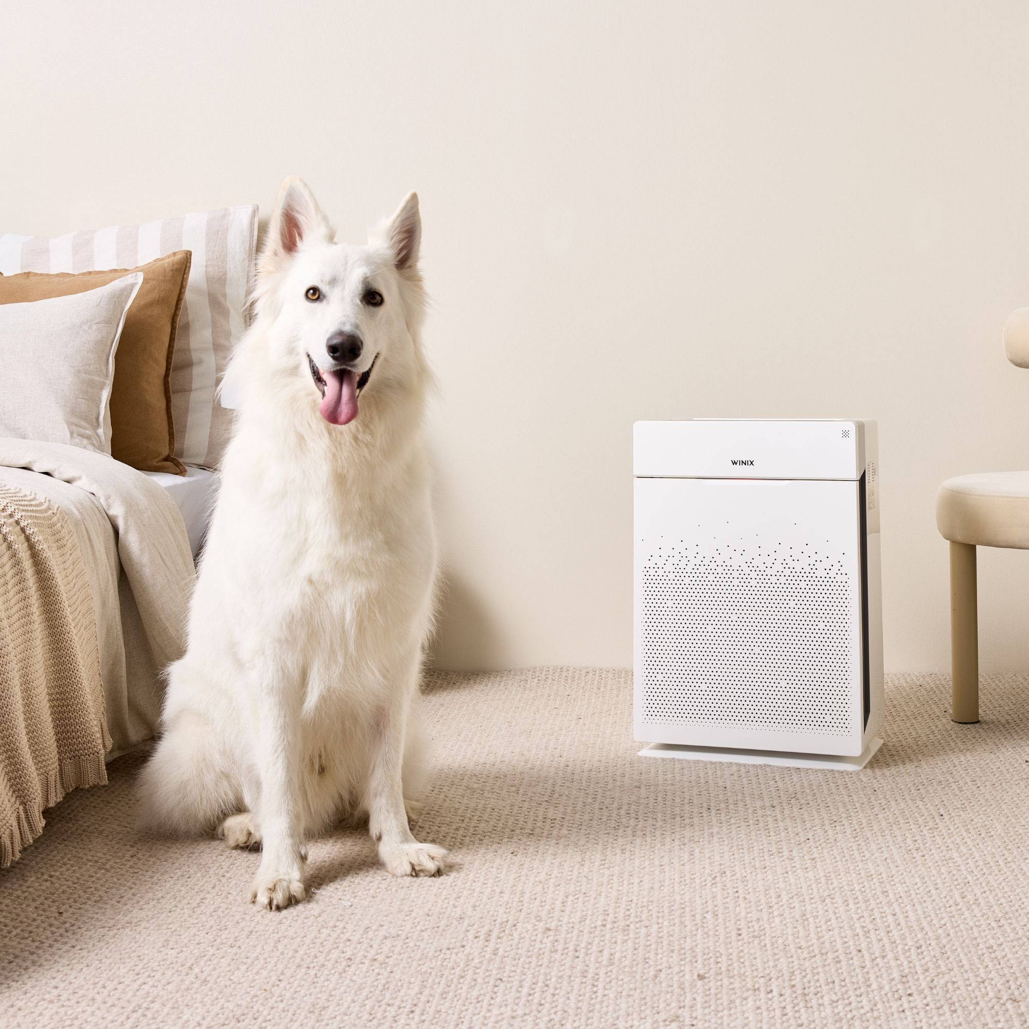 ZERO+ PRO 5-stage Air Purifier