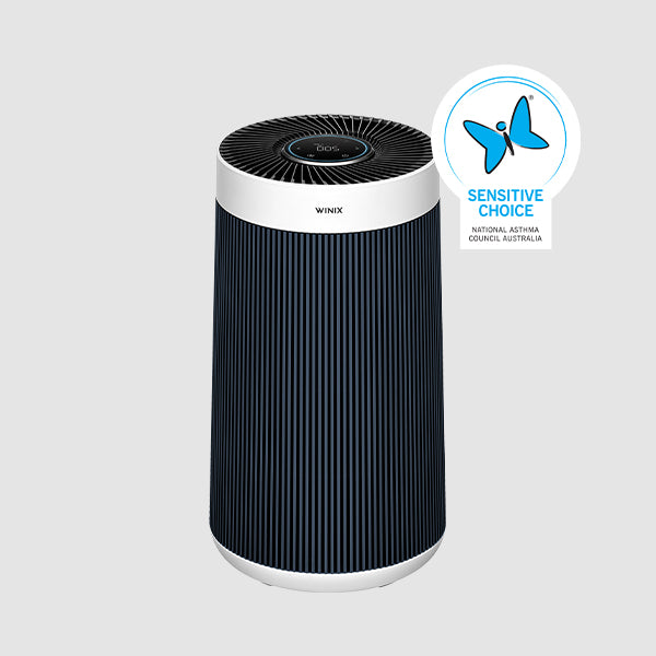 Winix pet outlet air purifier