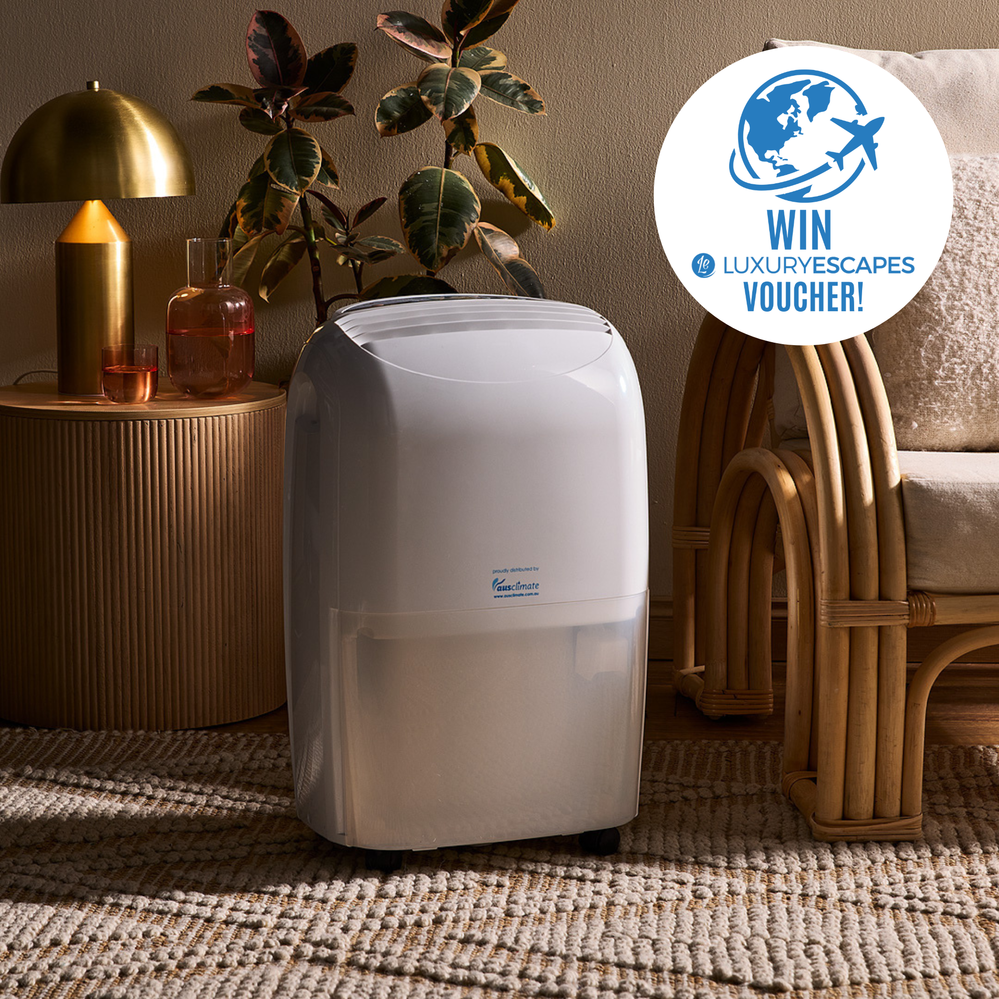 Medium 20L Dehumidifier