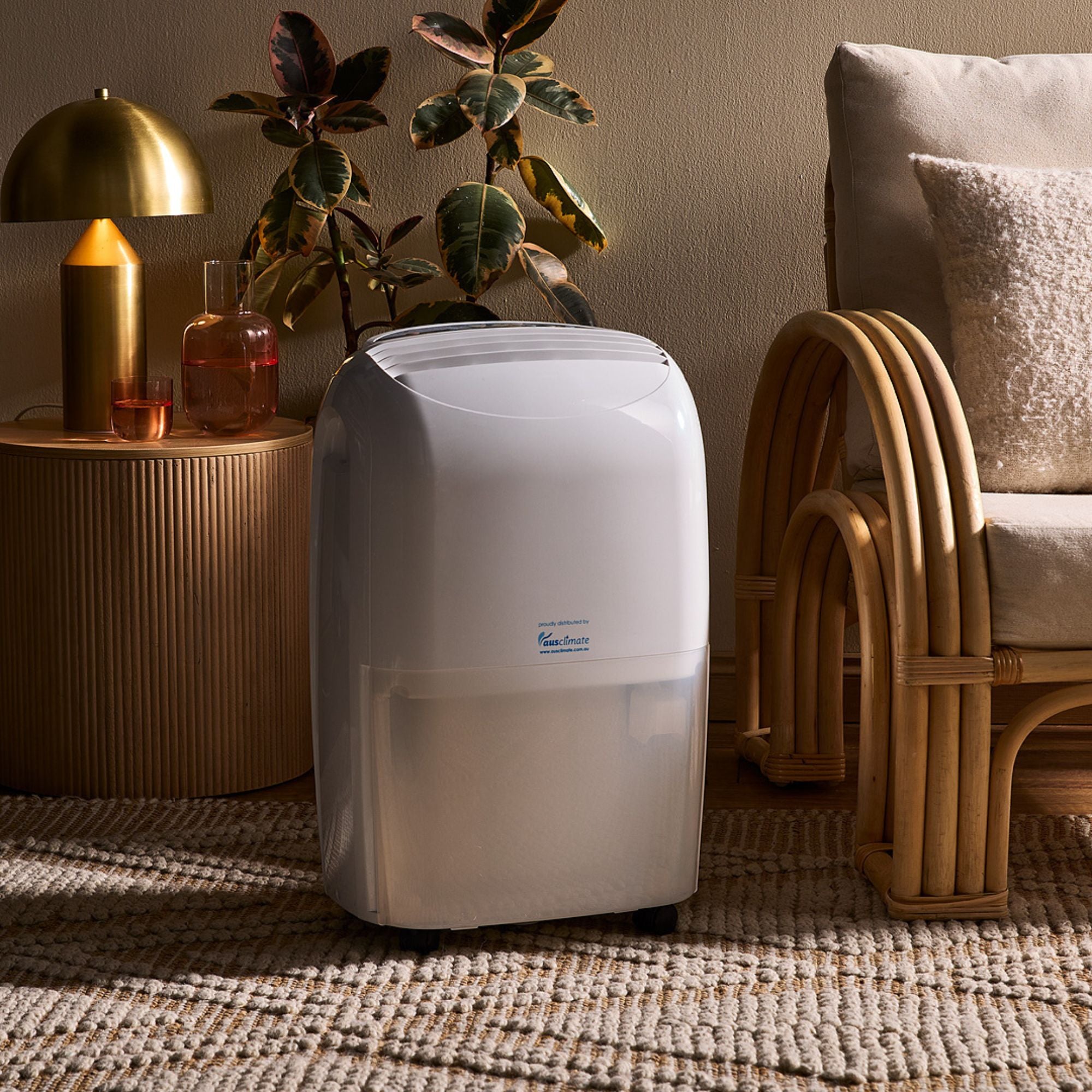 Medium 20L Dehumidifier